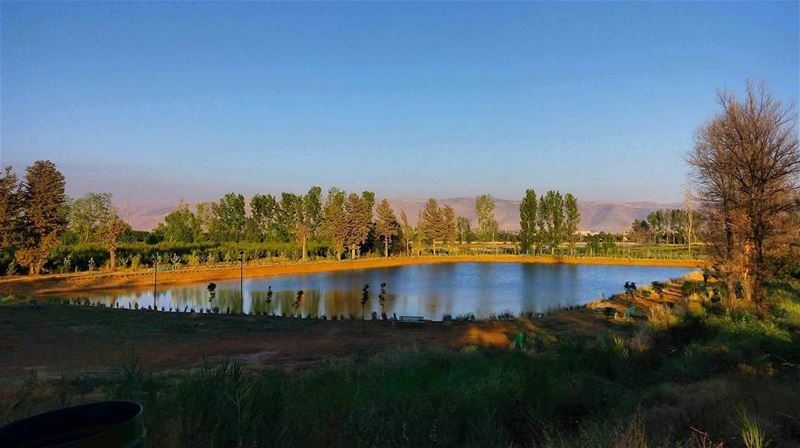 lebanon  bekaa  taanayel  roadtrips  lake  reserve  nature  naturehippys ... (Deïr Taanâyel, Béqaa, Lebanon)