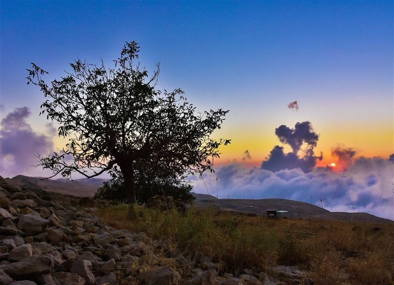  lebanon  bekish  lebanesesunset ... (Qanat Bakish, Mont-Liban, Lebanon)