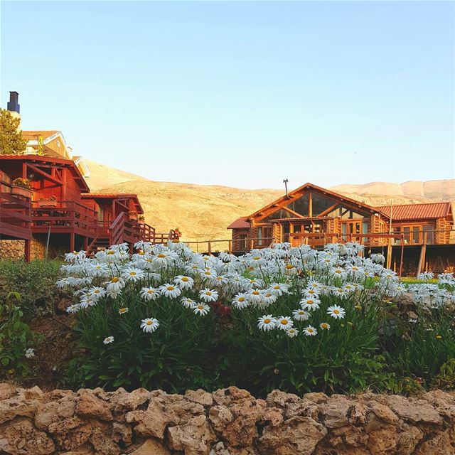  lebanon  bsheri  aubergedescedres ...
