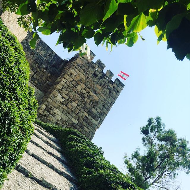  Lebanon  byblos  jbeil  castle  green  leaf  trees  flag  Liban  home ... (Byblos - Jbail بيبلوس/جبيل)