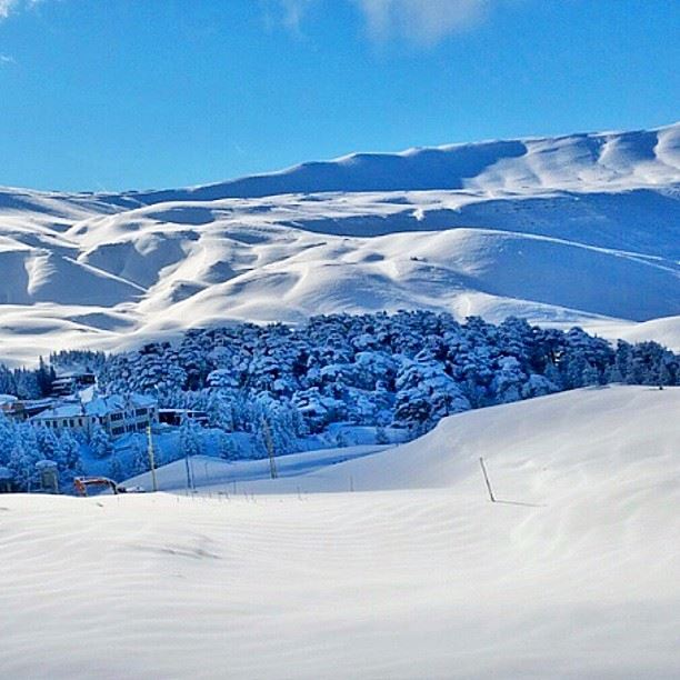  lebanon  cedars  mountains  snow  bluesky  after  the  storm  landscape ...