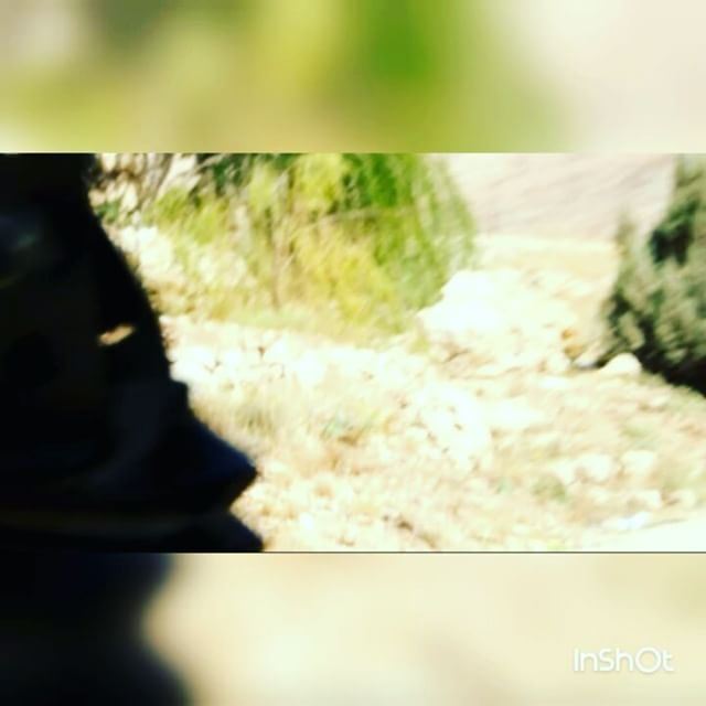  lebanon cedars travel путешествие ливан кедровыйпарк среднийвосток финикия (The Cedars, Lebanon)