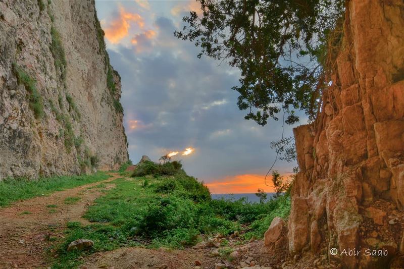  lebanon  chekka  landscape  sunset  nature  skyporn  livelovebeirut ... (Chekka)