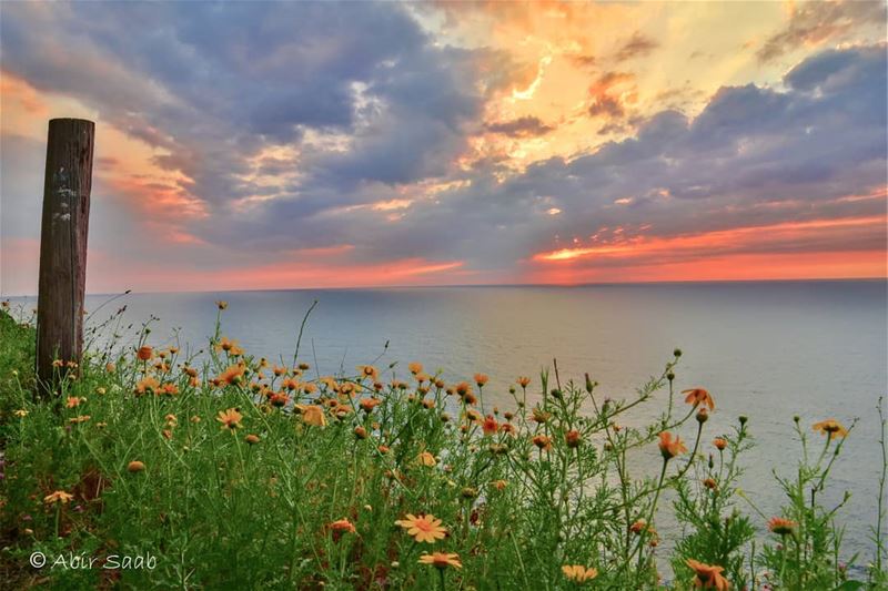  lebanon  chekka  seascape  sunset  seascapephotography  beach  nature ... (Chekka)