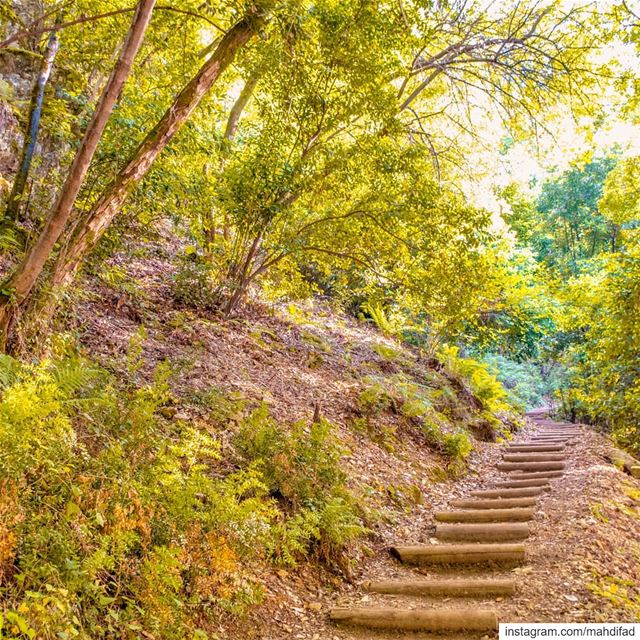  Lebanon chouwen lake pysglb mountains landscape nature photography igers... (Chouène, Mont-Liban, Lebanon)