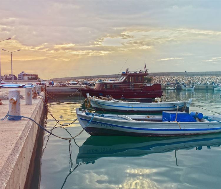  lebanon colorful lebanese livelovelebanon likeforlikes tagforlikes l4l...