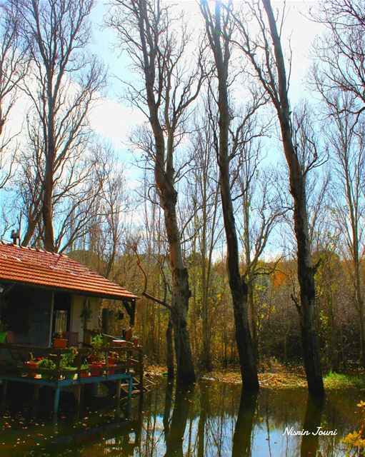  lebanon🇱🇧  cozyhome  peaceofmind  amazingplace  peaceful  keepcalm ... (Meghrak)