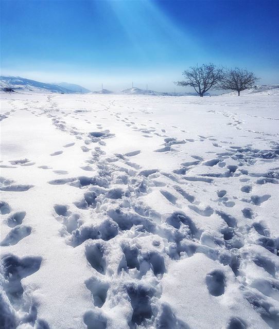 ❄☃⛷🏂 lebanon  dahrelbaydar  beautifuldestinations  placetovisit ...