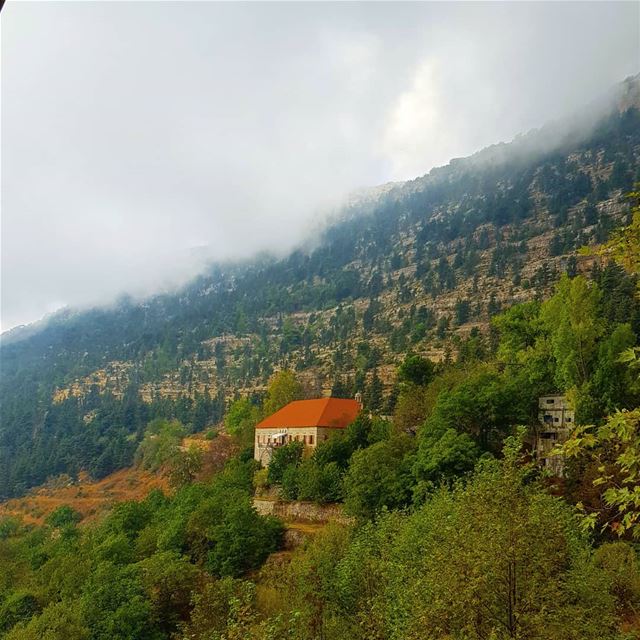  lebanon  ehden  instagood  instapic  instaphoto  instafollowers ... (Ehden, Lebanon)