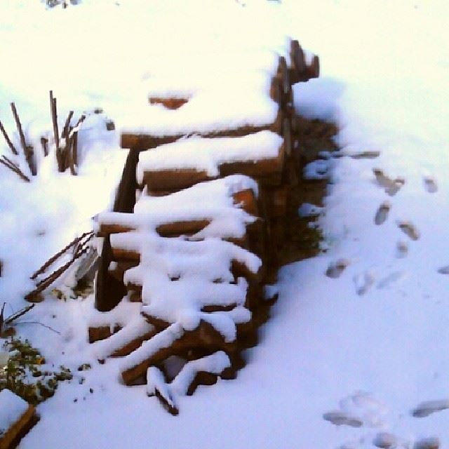  lebanon elchouf maasserbeiteldine  snowy landscape wood freezing cold...