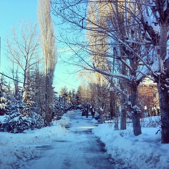  lebanon faraya mzar winter...