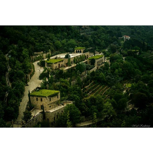  lebanon  green  trees  traditional  house  mist  path  tree  nature  old ... (Chouf)