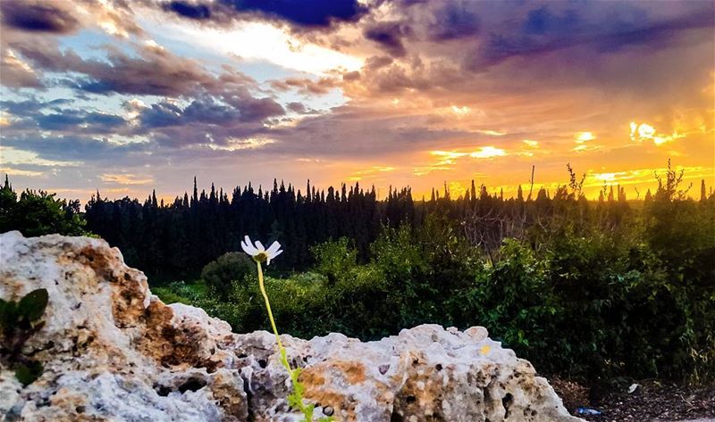  lebanon  hamat  sunset  livelovelebanon  livelovebeirut  wearelebanon ...