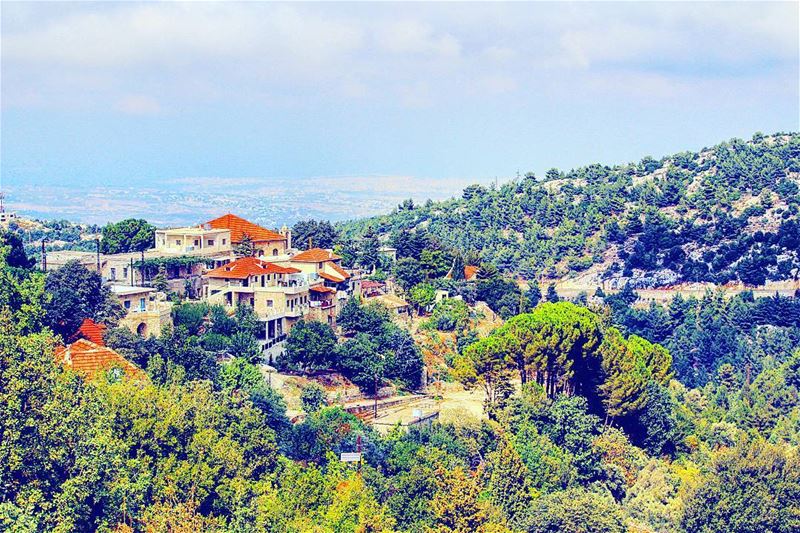  lebanon ... (Hardîne, Liban-Nord, Lebanon)