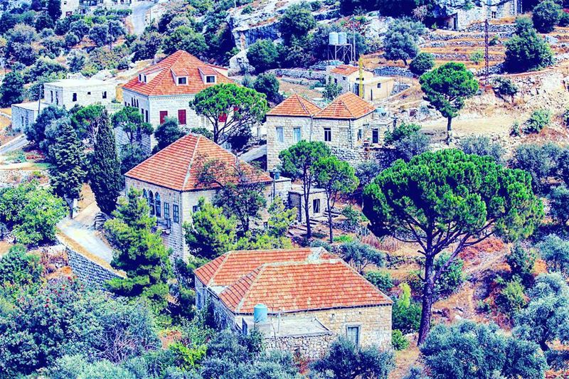  lebanon ... (Hardîne, Liban-Nord, Lebanon)