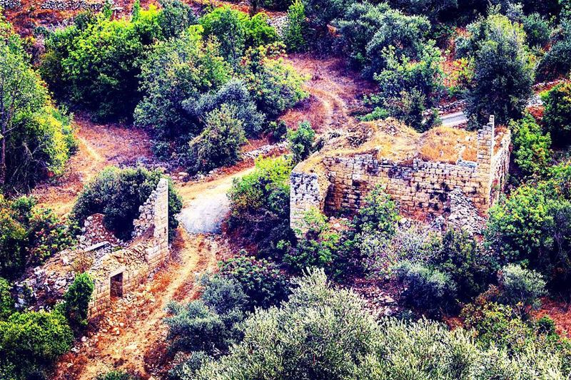  lebanon ... (Hardîne, Liban-Nord, Lebanon)