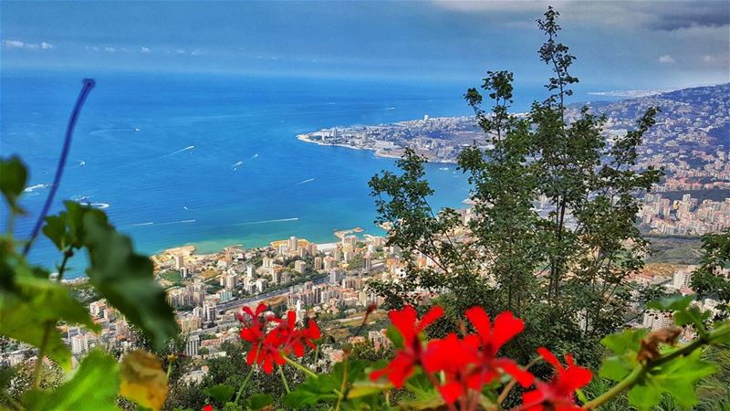  Lebanon Heaven on  earth mylebanon😍 jounieh  sea loves_lebanon ... (Harîssa, Mont-Liban, Lebanon)