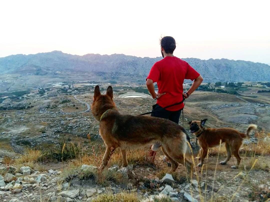  lebanon  hiking  dog  dogs  hikinglove ...