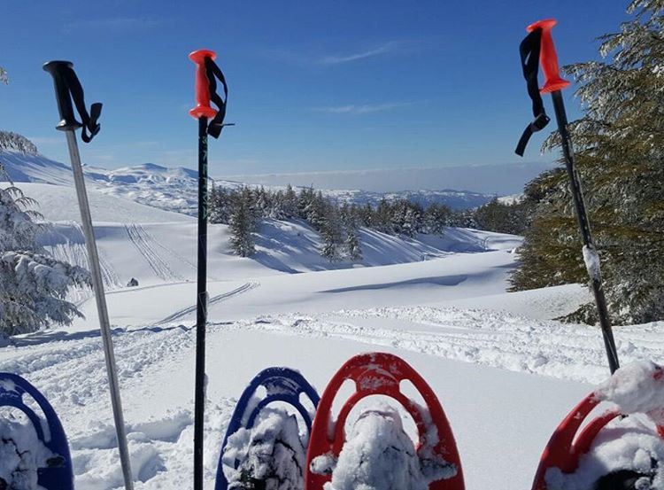 Lebanon in a picture snow  hiking  snowshoeing   amazingview ...
