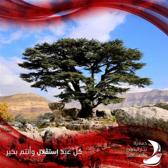 lebanon  independenceday  batroun  bebatrouni  Lebanon  northlebanon ... (Arz Tannoûrîne)