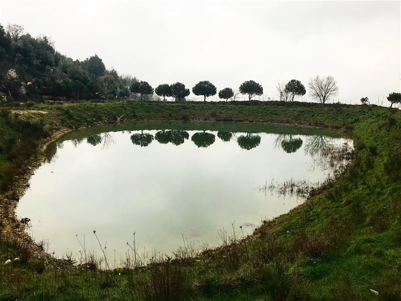  lebanon jbeil annaya marcharbel trees shadows lake  water sky nature... (Mar Charbel Church)