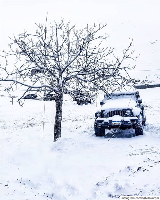  lebanon  jeeps  mountains  jeep  offroad  wrangler  snow  jeeplife ... (Sannine)