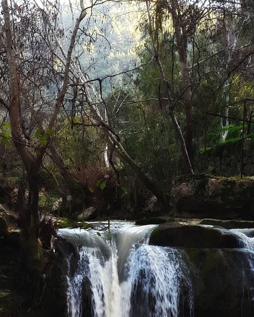  lebanon  jehlieh  chouf  river  water  livelovelebanon  livelovebeirut ...