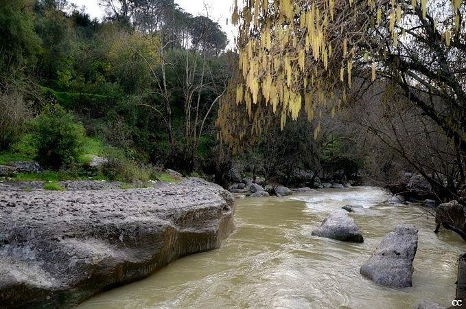  lebanon  jisrelqadi  chouf  livelovelebanon  whatsuplebanon ...