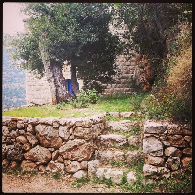  Lebanon  kadisha  nature  Valleyofsaints  saintmarina ...