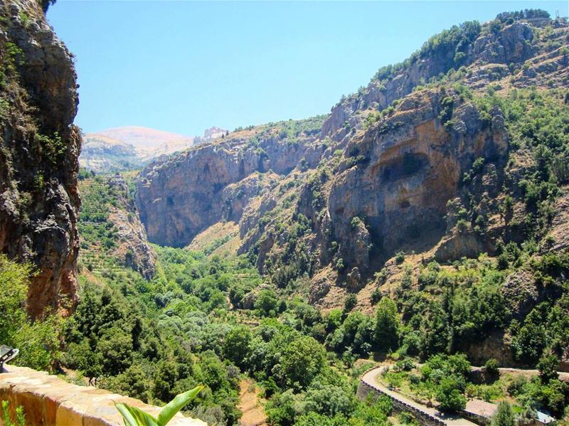 🌲🌿🏞  lebanon  kadisha  valley  nature  naturelovers  natura  natureza ... (Bsharre, Kadisha Valley)