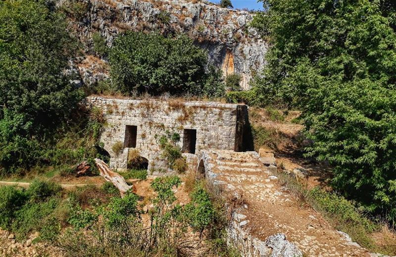  lebanon  kalawounphoto  lebanonhouses  bestofleb  thebestinlebanon  🌳 ... (Ejdabrine, Liban-Nord, Lebanon)