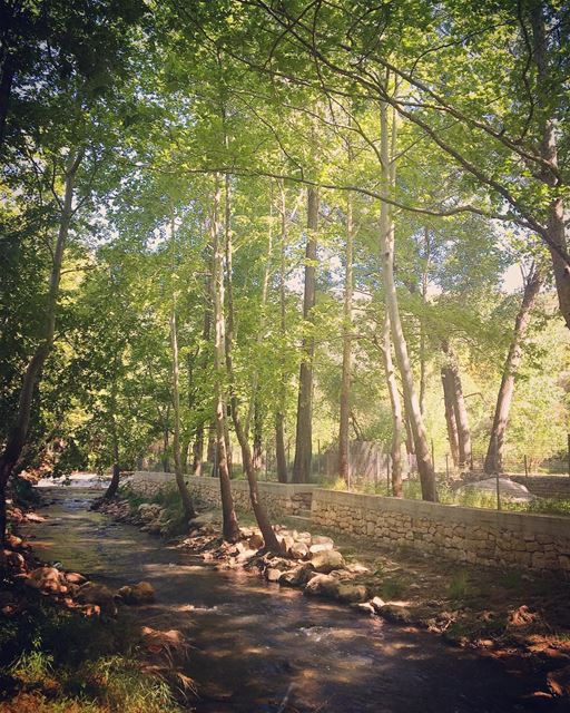  lebanon  kfarhelda  river  nature  naturelovers  natureaddict ... (Kfarhilda, North)