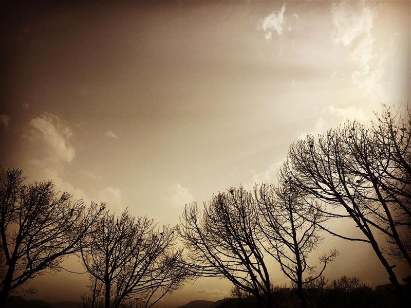  lebanon  landscape_captures  lebanon_hdr  lebanonphotography ...