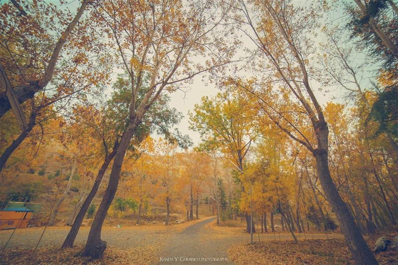 Lebanon 🍁🍂  landscapephotography  naturephotography  nationalgeographic ... (El Laqloûq, Mont-Liban, Lebanon)