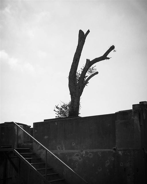  lebanon  lebanese  history  war  civilwar  memorial  memory  beirut ... (Beirut, Lebanon)