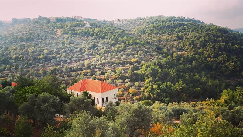  lebanon  lebanesehouse  ig_lebanon  igers  insta_lebanon  valeyellow ... (Baakline, Mont-Liban, Lebanon)