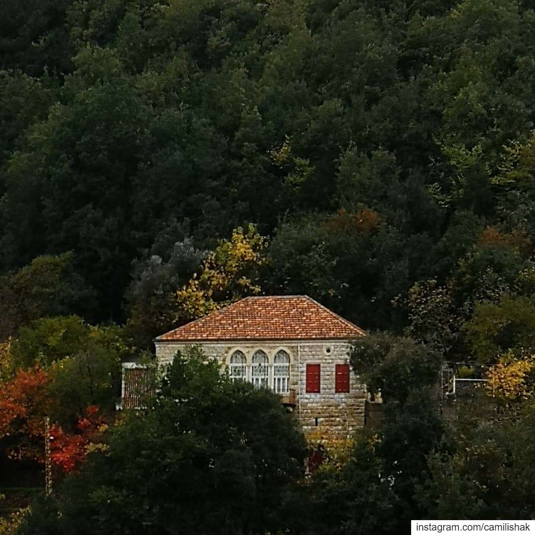  lebanon lebanonhouses autumn fall naturephotography nature mountlebanon... (Dlebta, Mont-Liban, Lebanon)