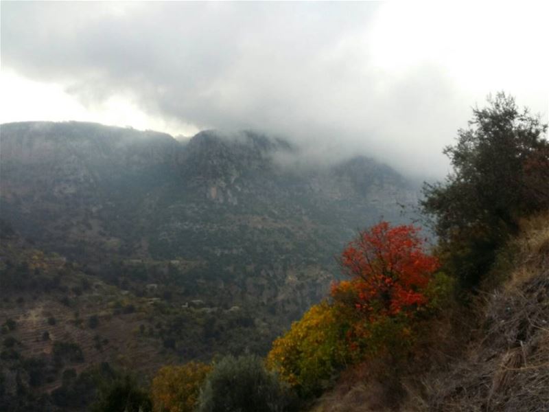  lebanon  lebanoninapicture  beautifullebanon  ig_lebanon  nature ... (Lebanon)