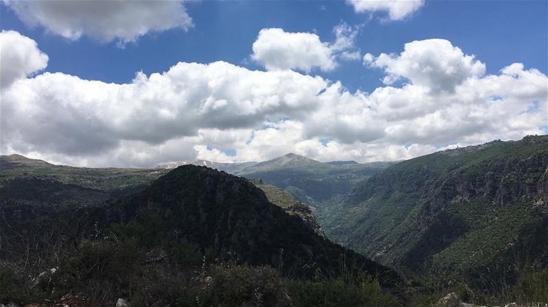  lebanon🇱🇧  lebanonnature  lebanonbeauty  nature  ehden  whatsapplebanon... (Ehdène, Liban-Nord, Lebanon)