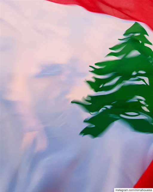 🇱🇧🇱🇧🇱🇧💪  lebanon  lebanonrevolution  revolution  history  allforone... (Beirut, Lebanon)
