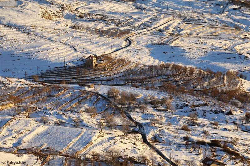  lebanon lebanonspotlights snow igdaily  nature naturelovers winter... (Qanat Bakish, Mont-Liban, Lebanon)