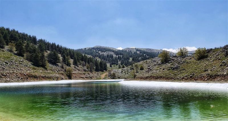  lebanon  lebanonweekly  lebanese  mood  cedar  reserve  barouk  nature ...