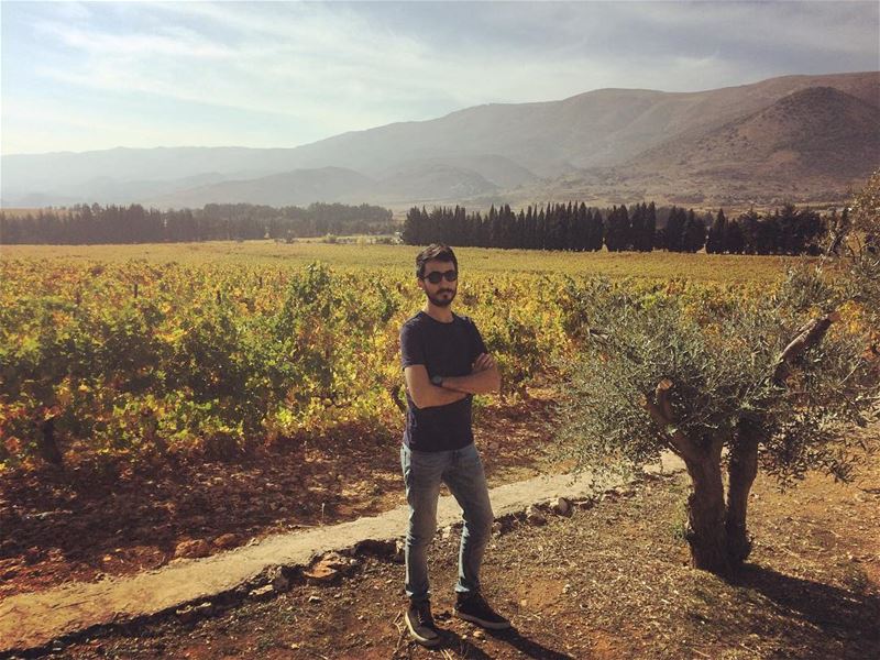  lebanon  liban  bekaa ... (Château Kefraya)