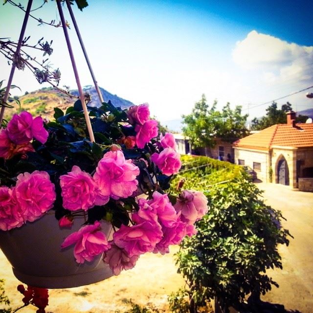  lebanon  liban  maasserbeiteldine  beautiful  view  balcony  pink ...