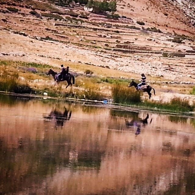 lebanon  liban  north  ouyoun  orghoch  lake  horse  riding  valleys ...