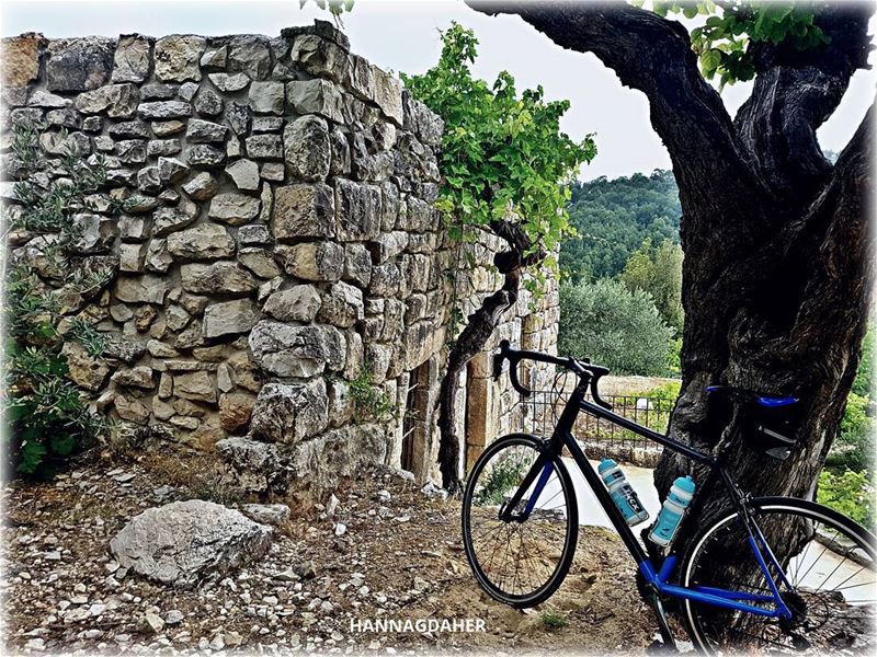  lebanon ... (Lihfid, Mont-Liban, Lebanon)