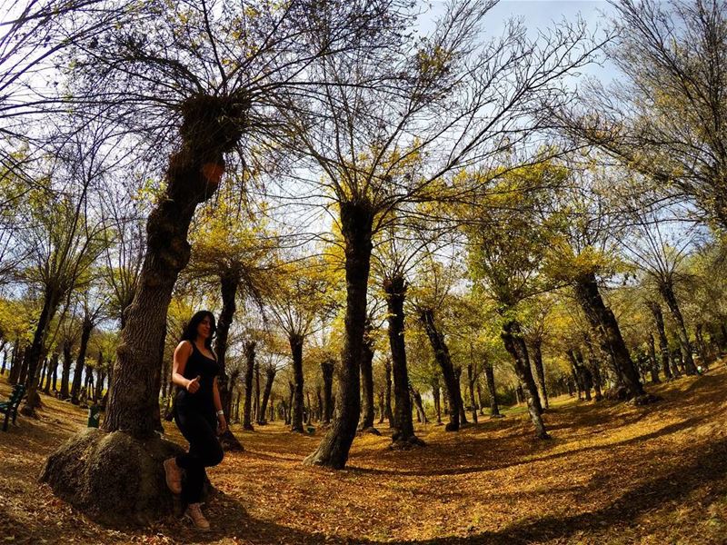  lebanon  livelovebekaa  hikinggirl  falltime  mountainview  ...