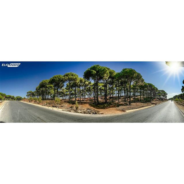 Lebanon  LiveLoveLebanon  Bekaa  LiveLoveBeirut ...