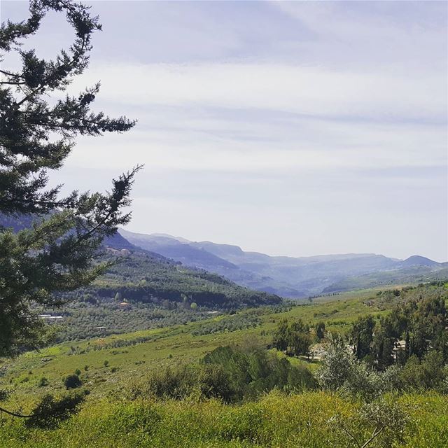  lebanon  livelovelebanon  chouf  naturelovers  greenislife  trailslife ...