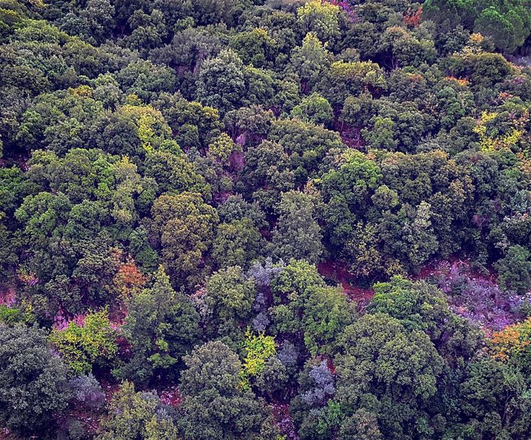  Lebanon  LiveloveLebanon  lebanese  nature  Mountains  alpine  like ...